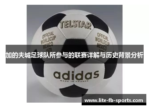加的夫城足球队所参与的联赛详解与历史背景分析 加的夫城足球队所参与的联赛详解与历史背景分析